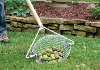 Essential Gardening Tools: The Nut Gatherers and The Broadfork