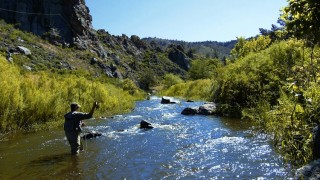 training to catch crappie fish