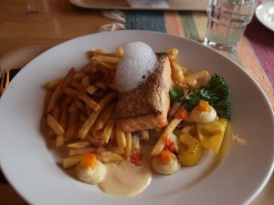 Hire The Best Pest Control Company For Your Commercial Services