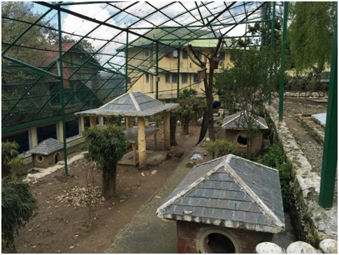 Make The Most Of Your Shimla Manali Trip With These Places!