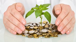 Are Private Equity Firms Productive and Money-spinning?