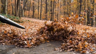 Renting A Leaf Blower This Spring