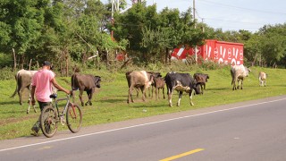 What Can You Do To Afford Rural Living