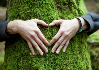 The Importance Of Being And Staying Connected With Nature