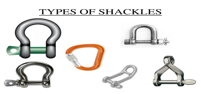 Different+Types+of+Shackles