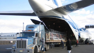 Everything You Need To Know About Freight Forwarder Gatwick