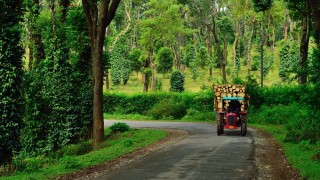 13 Reasons Why Coorg Should Be In Your Travel Bucket List