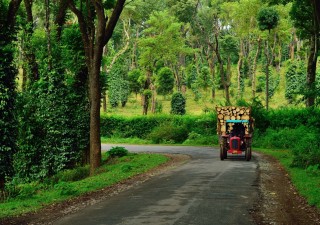 13 Reasons Why Coorg Should Be In Your Travel Bucket List