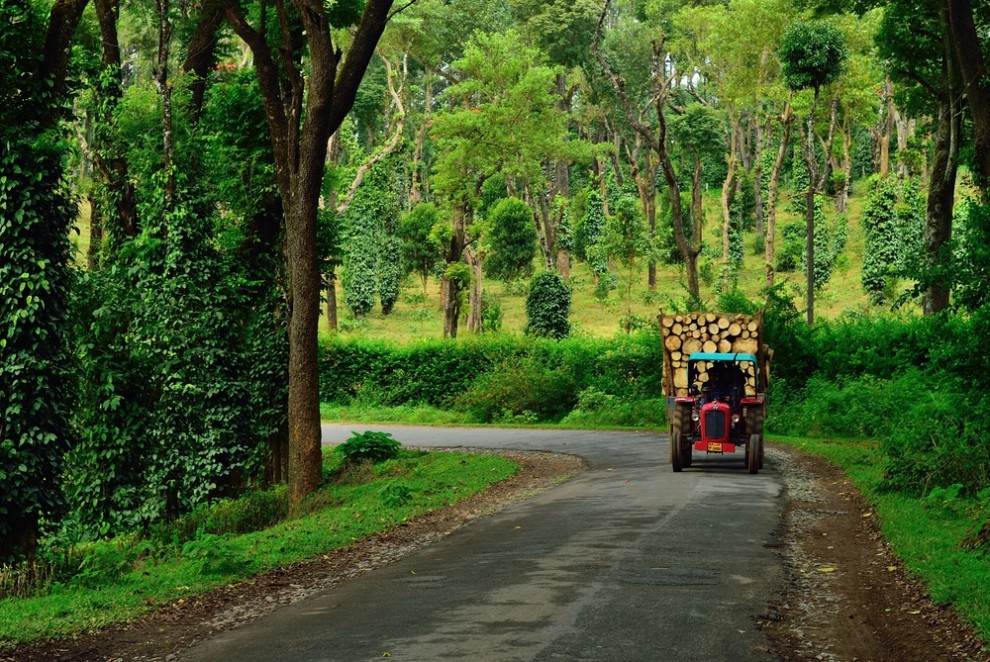 13 Reasons Why Coorg Should Be In Your Travel Bucket List