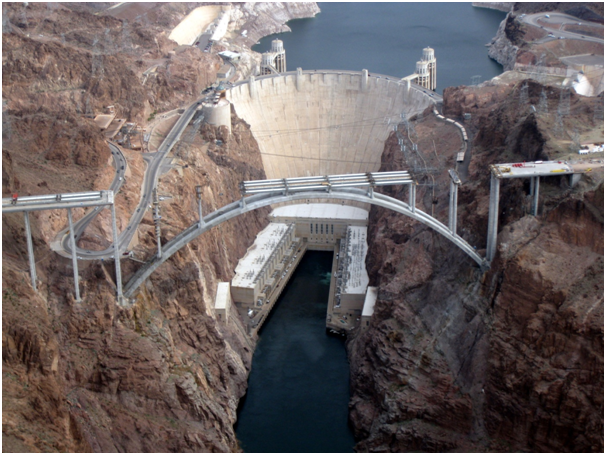 British Stag Swims Across The Notorious Hoover Dam