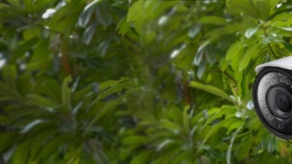 Top Benefits Of Wireless Cameras