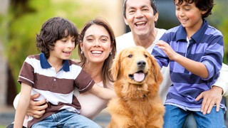 How To Choose The Right Pet Insurance Plan