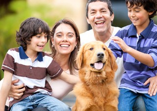 How To Choose The Right Pet Insurance Plan