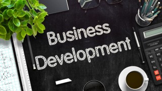 Developing The Business Of Muay Thai