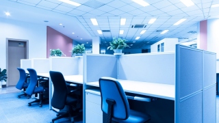 Office Partitions