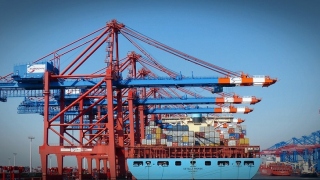 Gantry Cranes