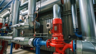 claw type vacuum pumps