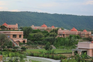 tree of life resort jaipur