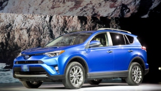 The Importance Of Having A Loyal And Honest Insurance Company