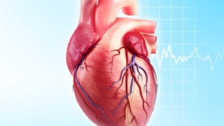 What Are The Rewards Associated In Being A Heart Surgeon
