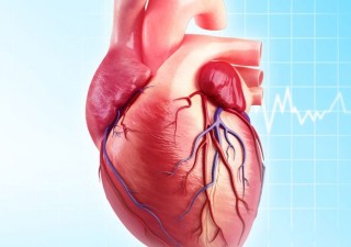 What Are The Rewards Associated In Being A Heart Surgeon