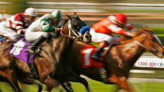 More About The Racing