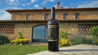 Essential Wines In France And Baghera Wines’ Expertise