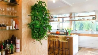 BEST PRACTICES FOR DECORATING INDOORS WITH PLANTS
