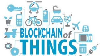 Using The Blockchain For The IoT