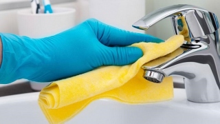 domestic cleaning services
