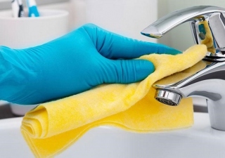 domestic cleaning services