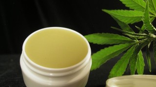 The Productivity of CBD Lotion for Pain Relief