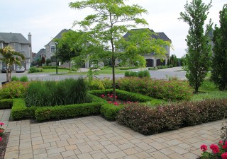 What are the Important Factors for Landscape Gardening