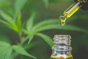 Your All-Important Guide To Taking CBD: What Is The Best Way For You?