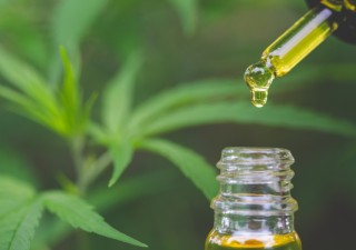 Your All-Important Guide To Taking CBD: What Is The Best Way For You?