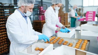 How Does The Food Packaging Industry Work