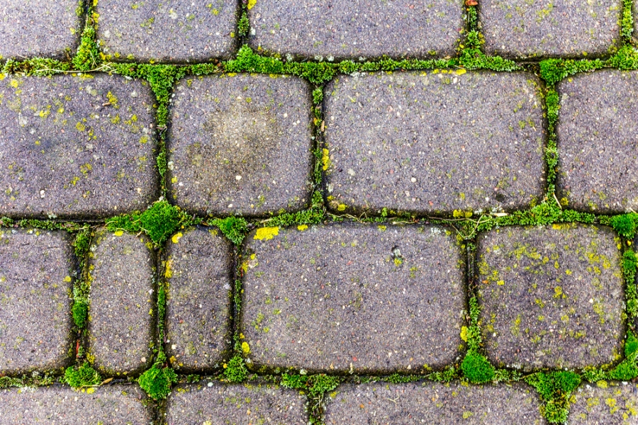 Paving Stones Installation: What to Plan?