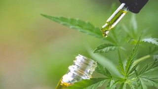 ALL YOU NEED TO KNOW ABOUT THE LEGALITY OF CBD IN INDIANA