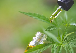 ALL YOU NEED TO KNOW ABOUT THE LEGALITY OF CBD IN INDIANA